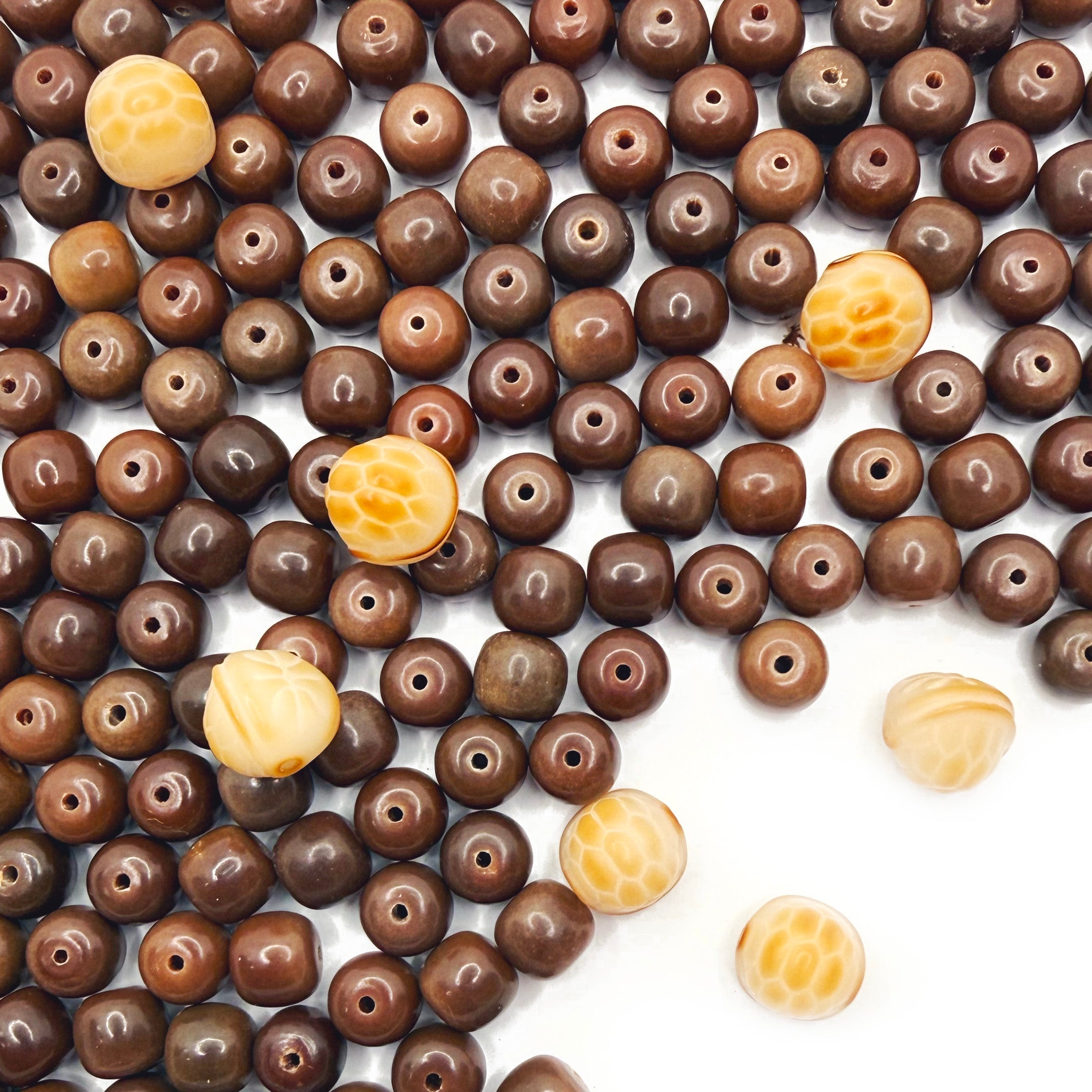 L1335]Bodhi Amber