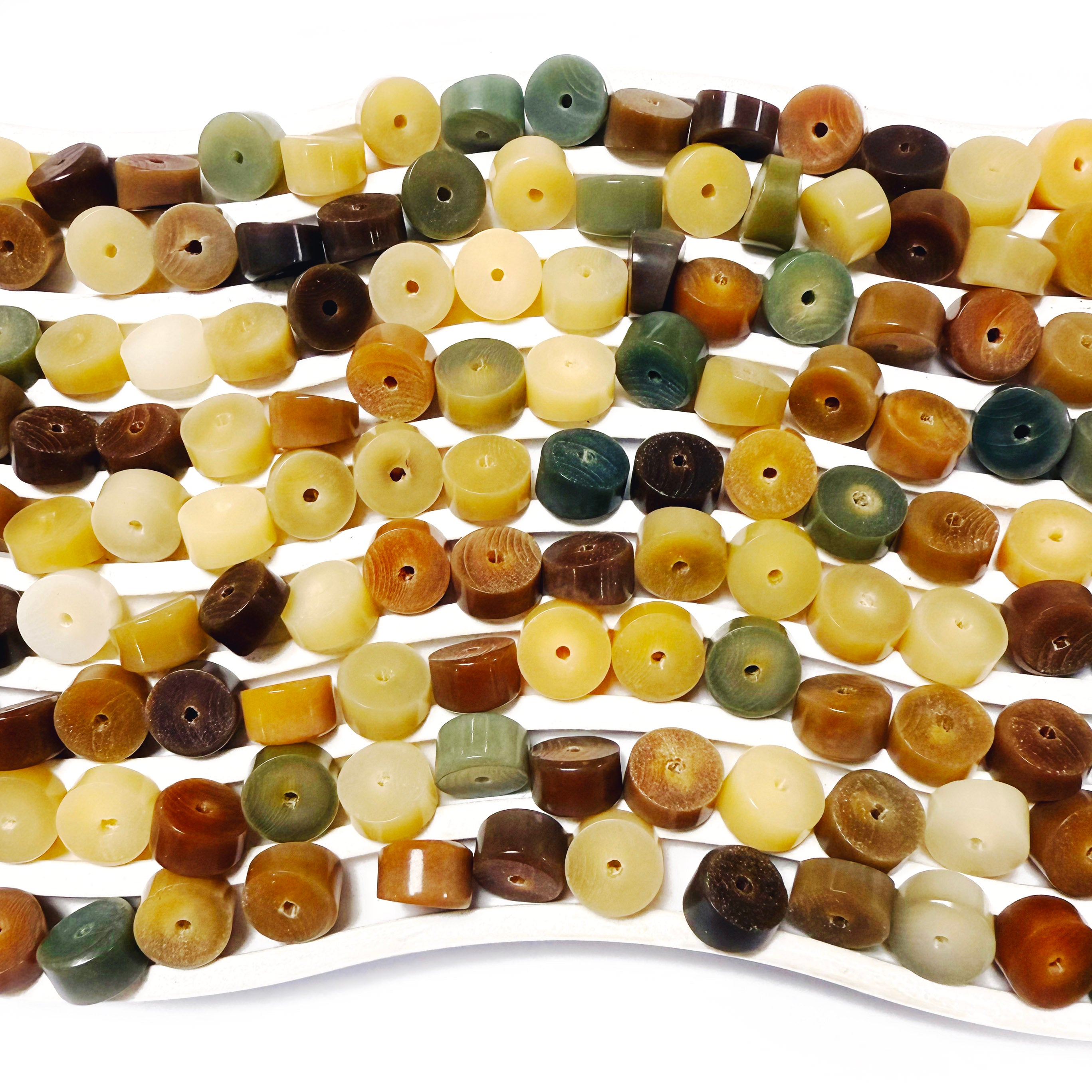 L670]Bodhi Cheese Fusion