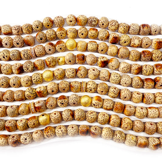 L576]Bodhi Starlight Toasted
