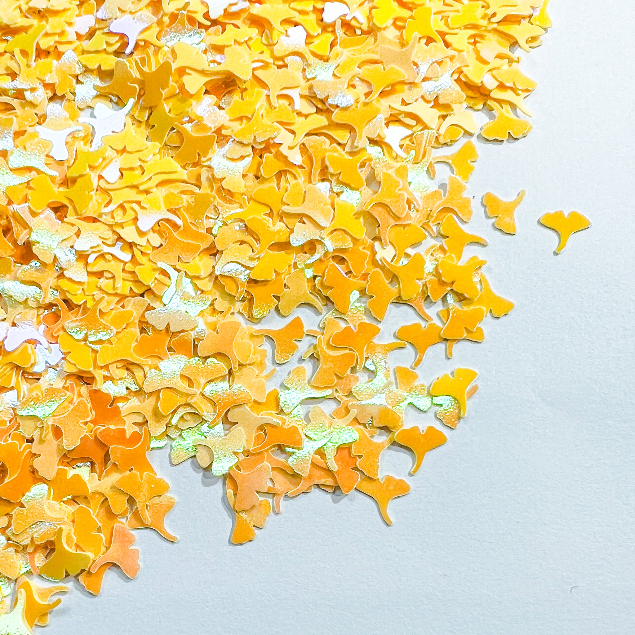 PD05]Gingko Avenue
