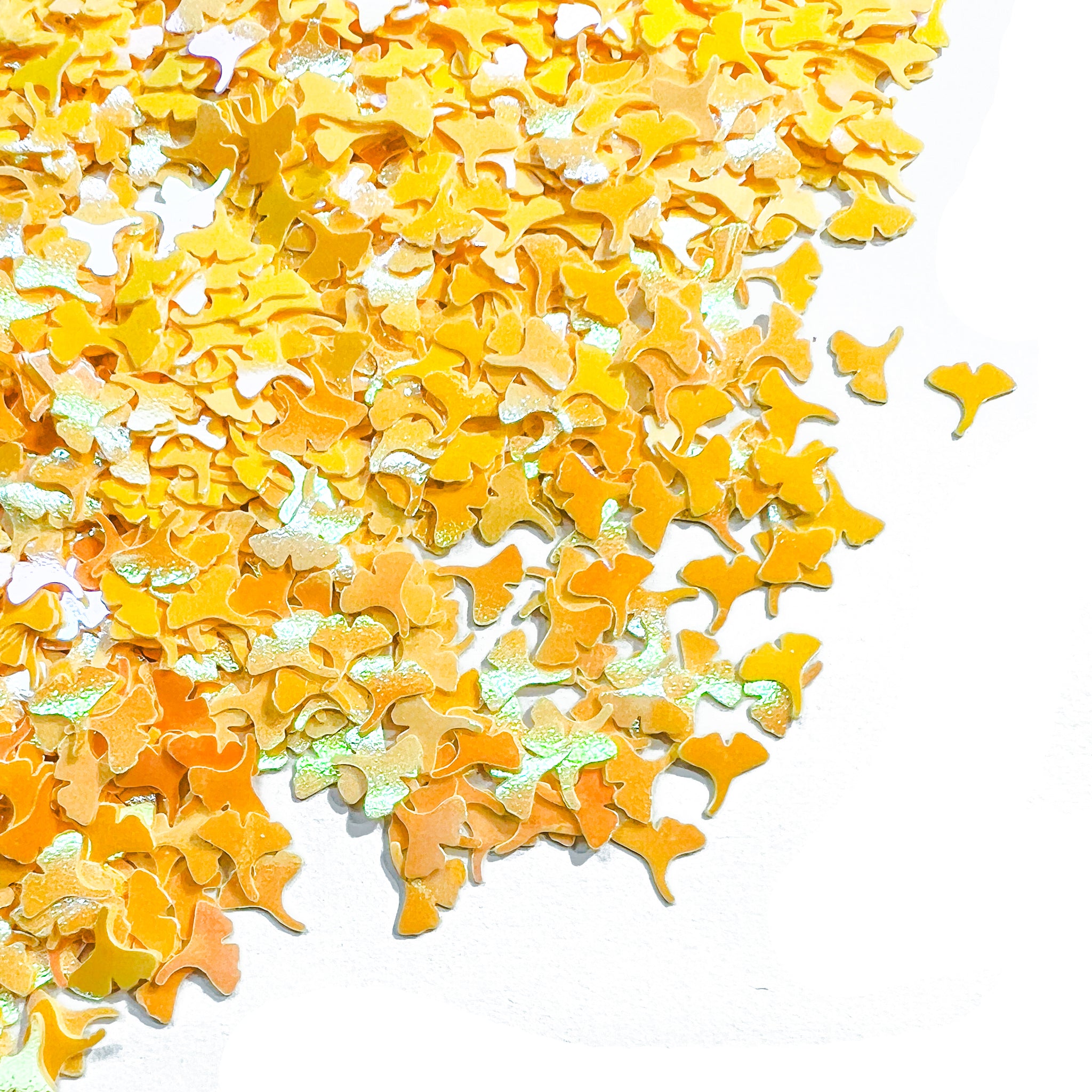 PD05]Gingko Avenue