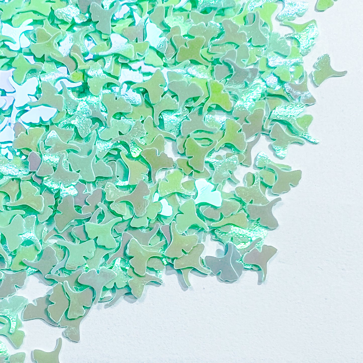 PD05]Gingko Avenue