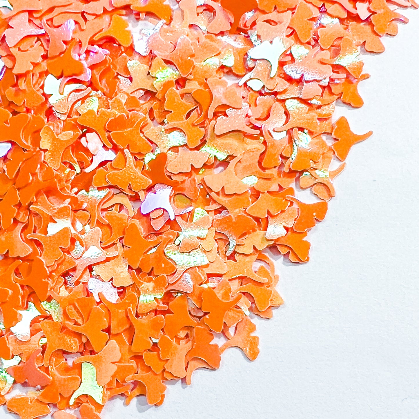 PD05]Gingko Avenue