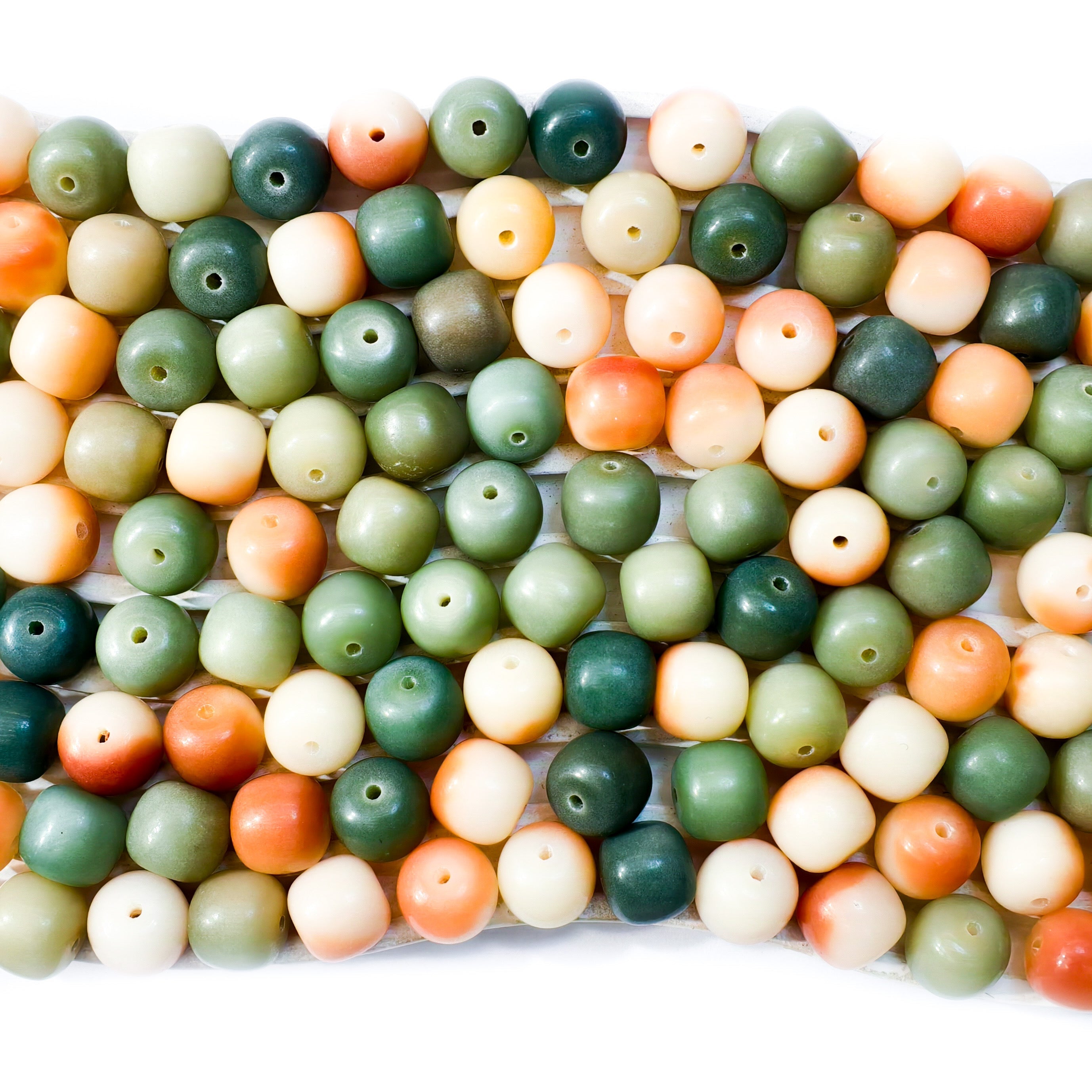 B1G1]Bodhi Garden Palette