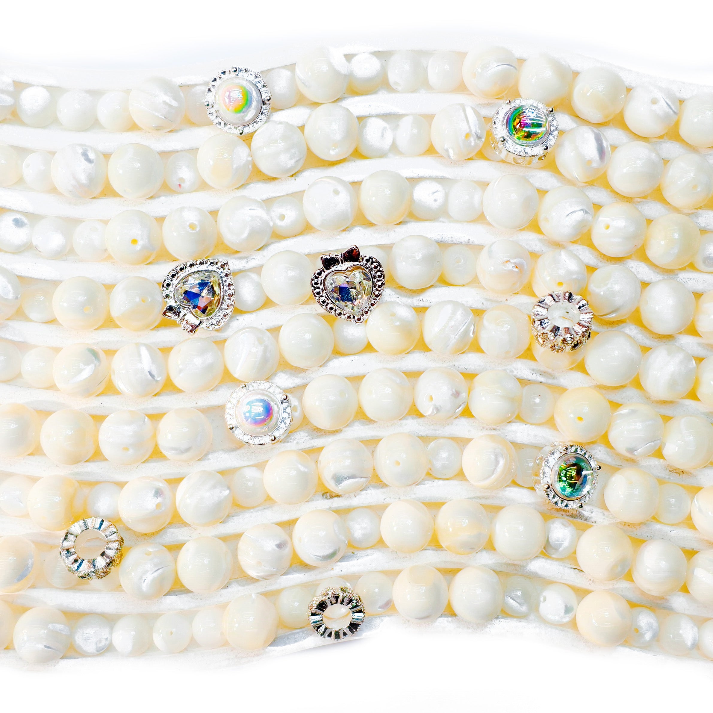 L809]She Sells Seashells 3.0