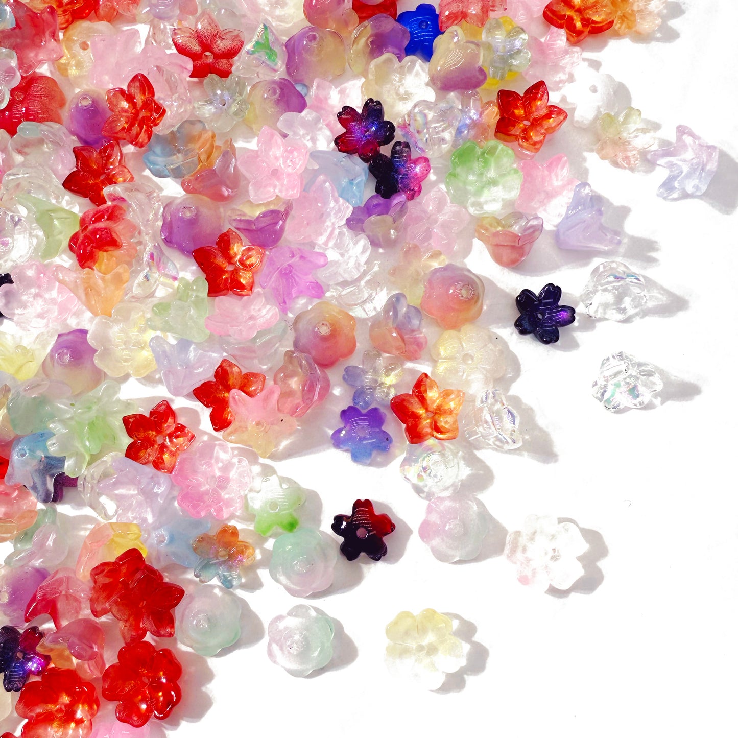 L466]Flower Power