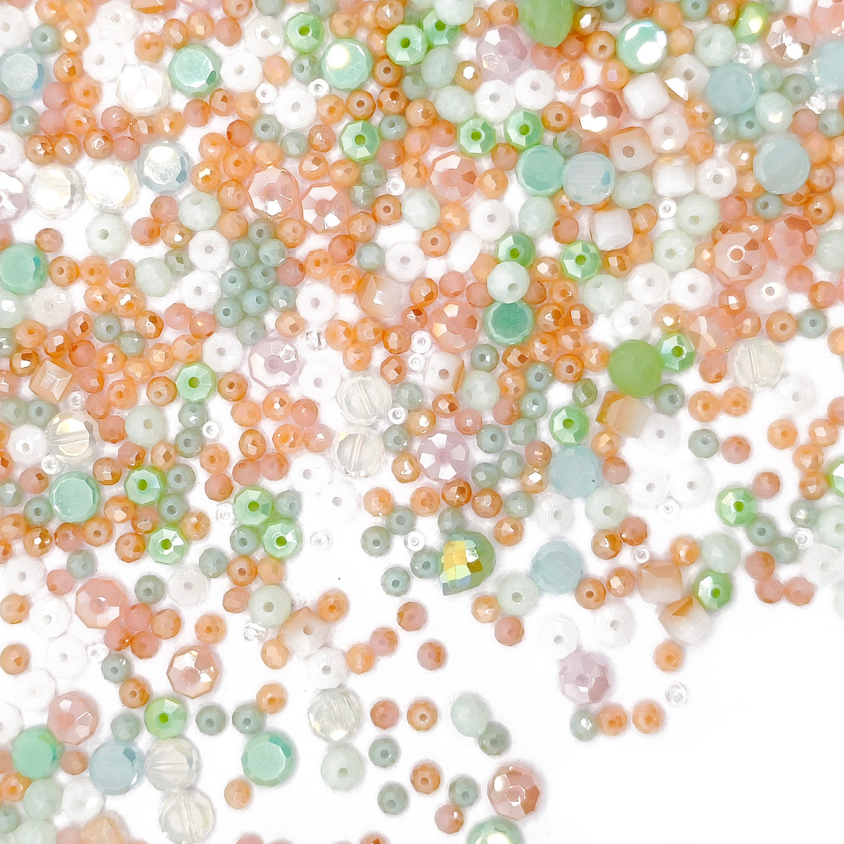 L862]Tiny Coral Whispers
