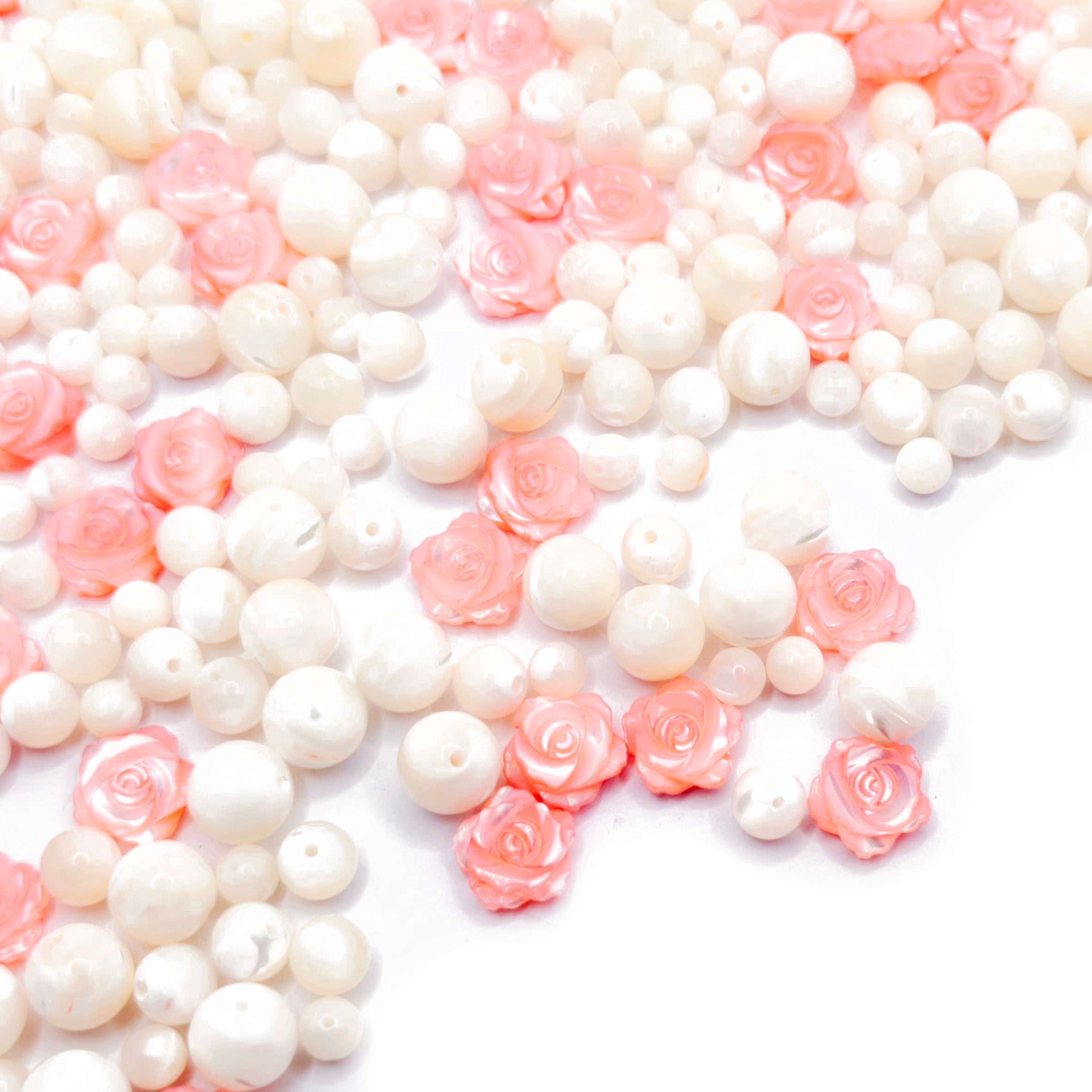 L1885]Shell & Petal