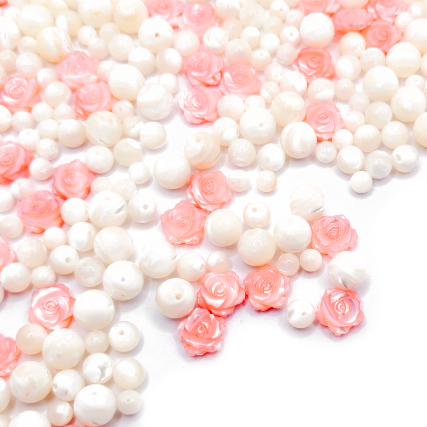 L1885]Shell & Petal