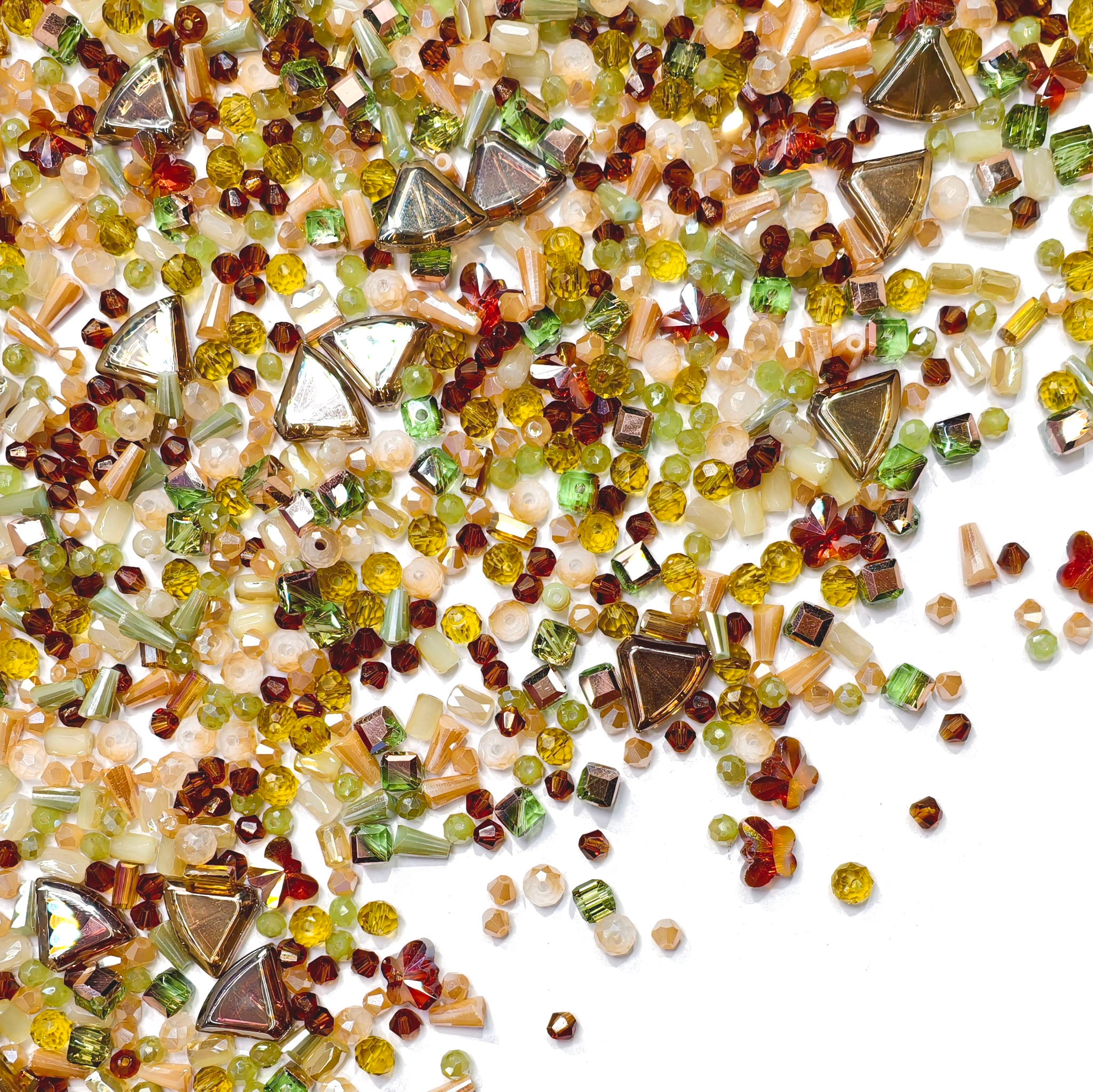 L1015]Tiny Forest Floor