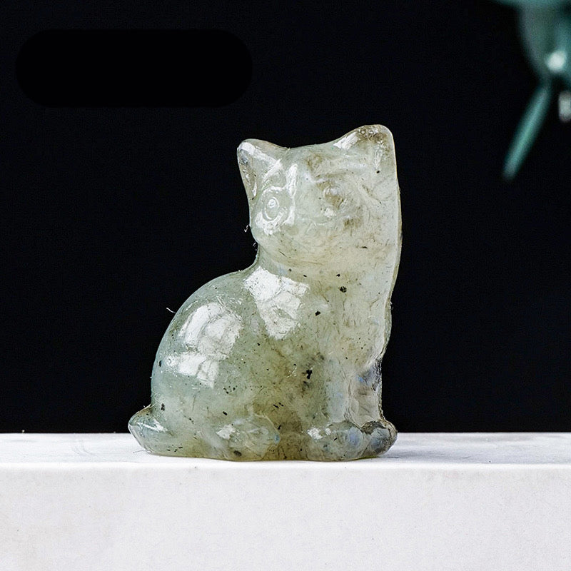 C48]Crystal Kitty