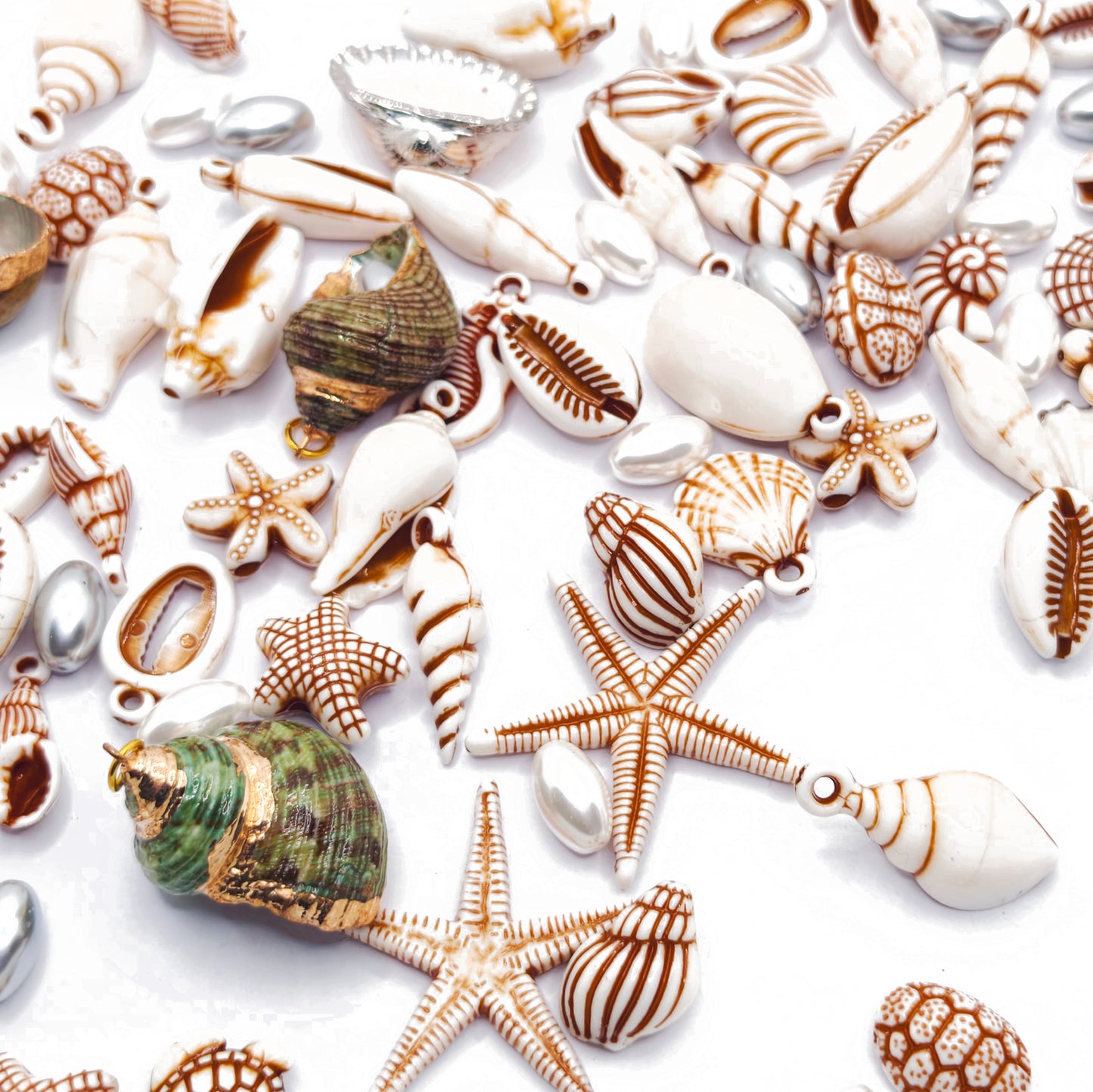 L1891]Shore Dweller
